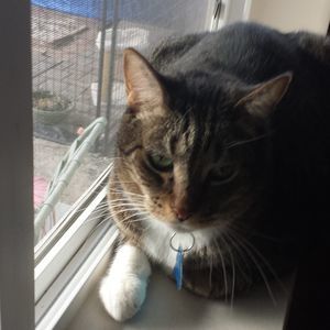 Meet your Posher, Donna